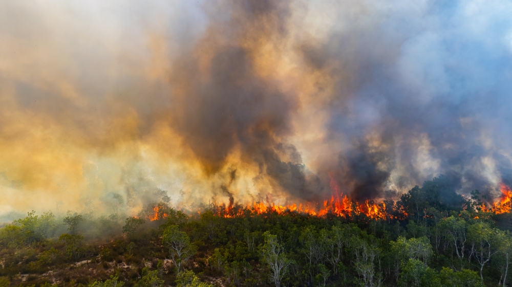 È morto un diciottenne negli incendi che stanno colpendo New York